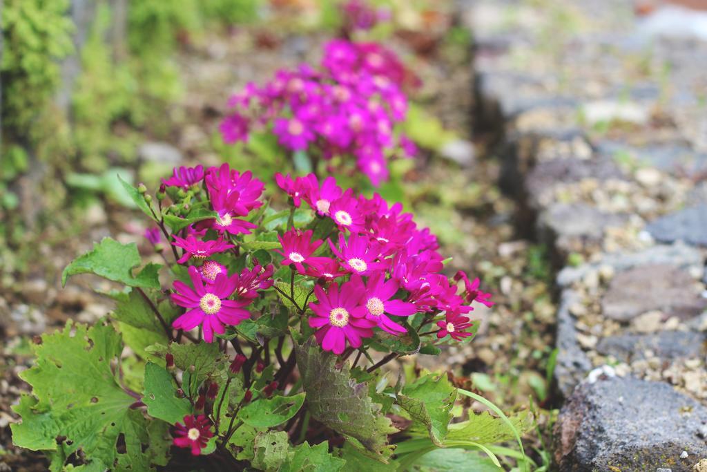 World'S Nests Furnas Pods Village 外观 照片
