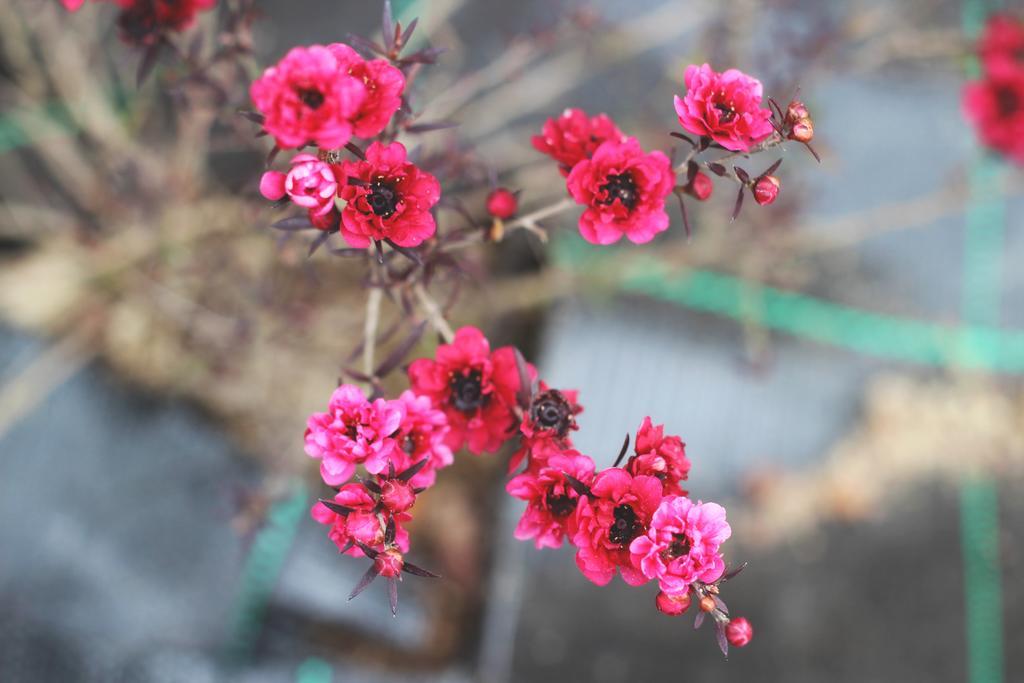 World'S Nests Furnas Pods Village 外观 照片